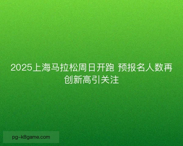 2025上海马拉松周日开跑 预报名人数再创新高引关注